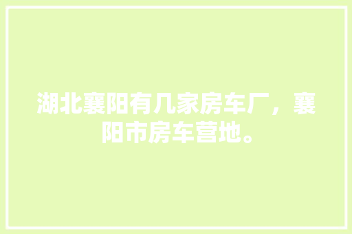 代码211影评一场关于未来与现实的思维盛宴
